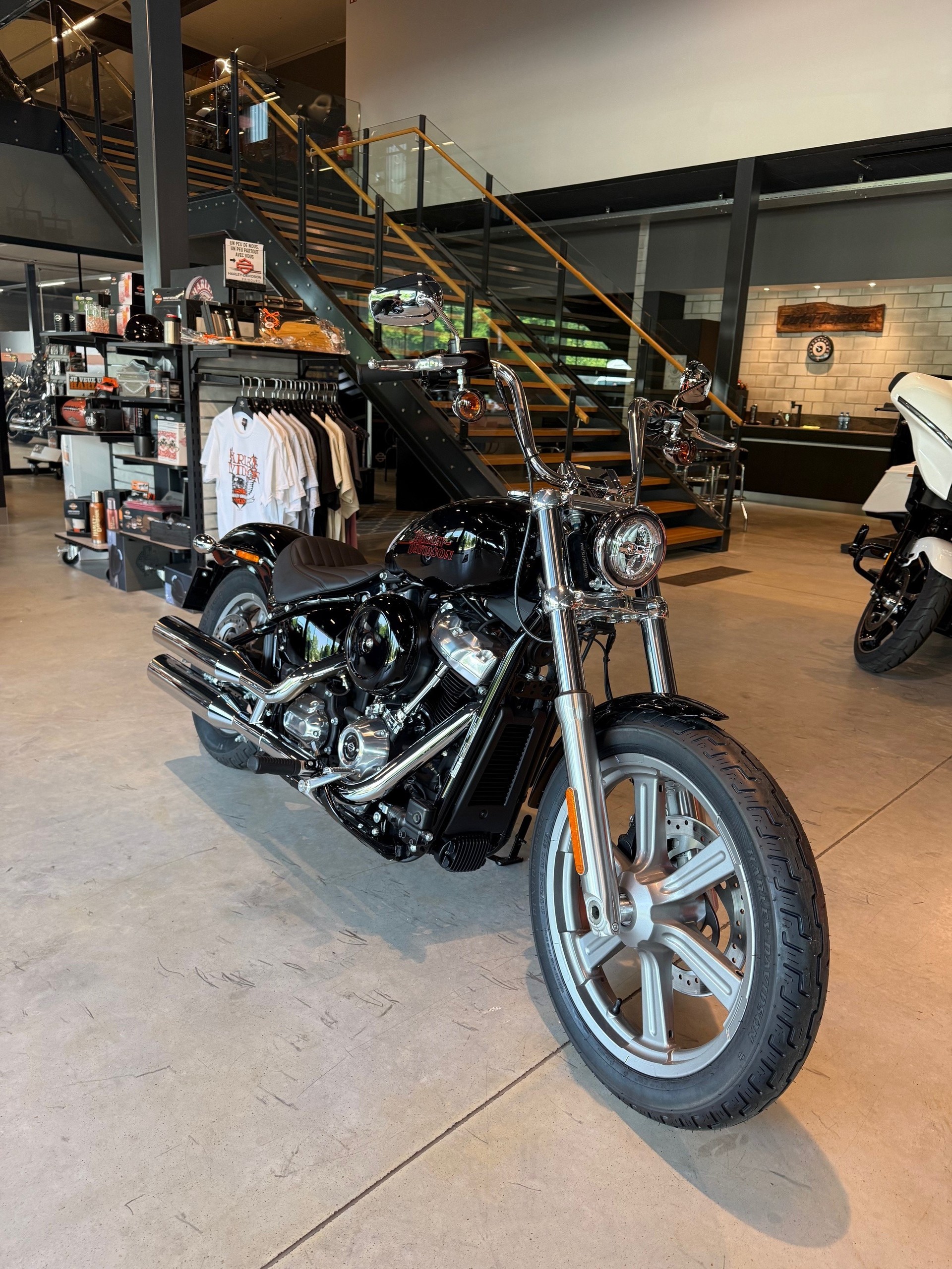 HARLEY-DAVIDSON FXST Softail Standard 107-showroom-element-1