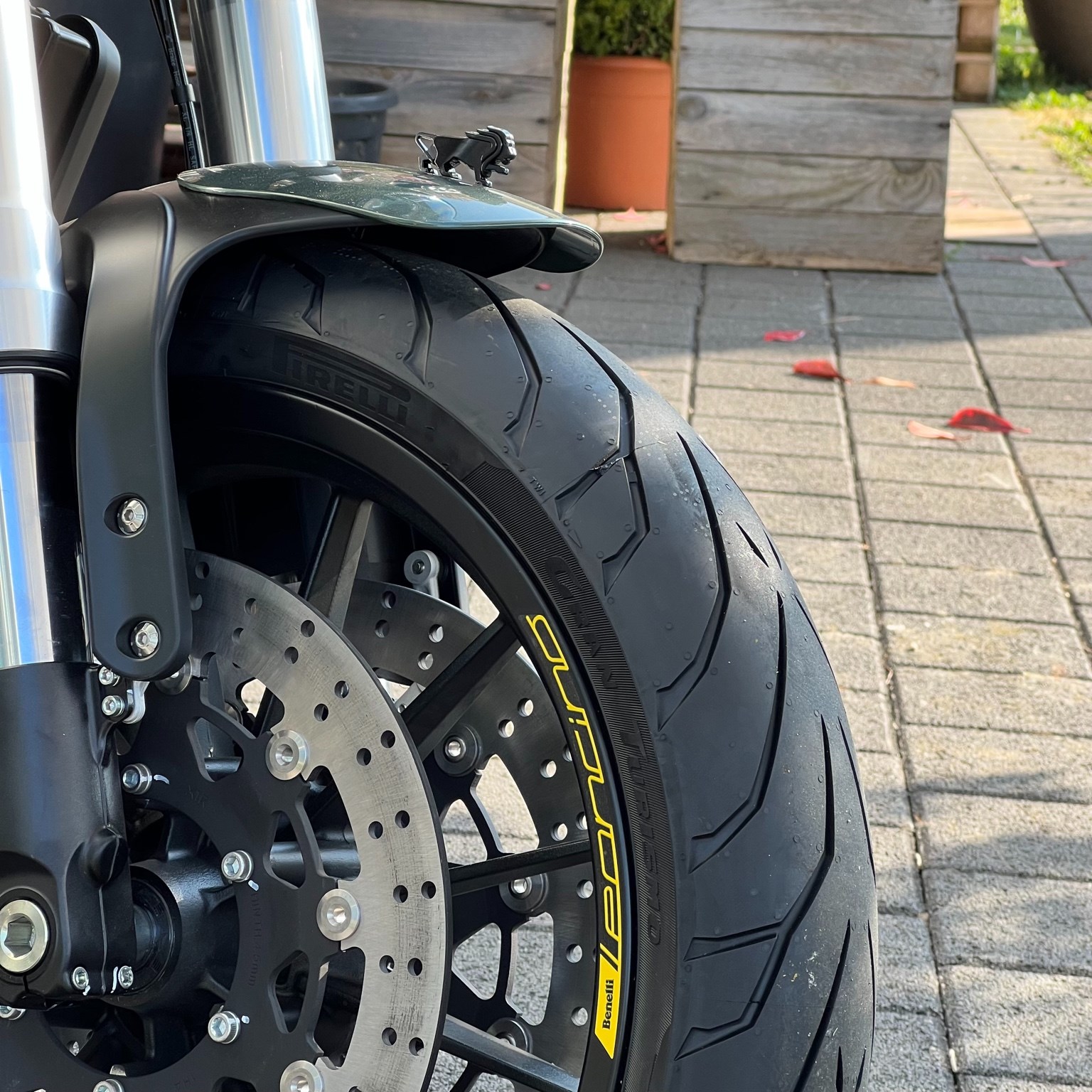 BENELLI Leoncino 500-image-5