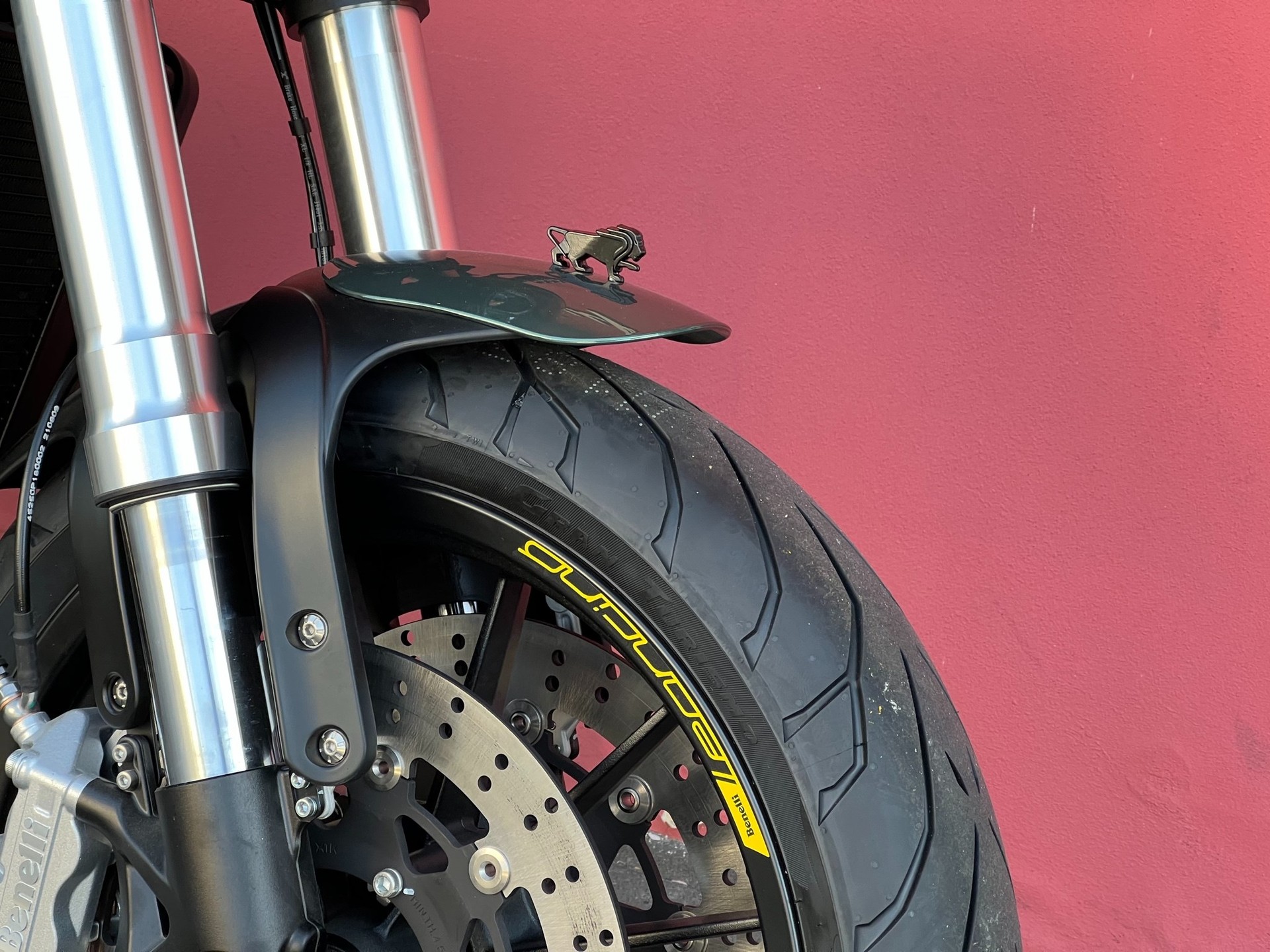BENELLI Leoncino 500-image-12