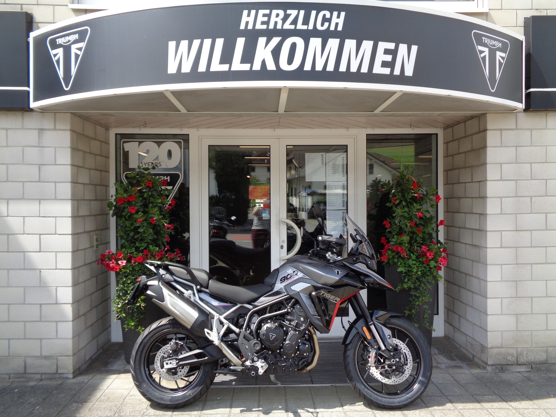 TRIUMPH Tiger 900 GT Pro