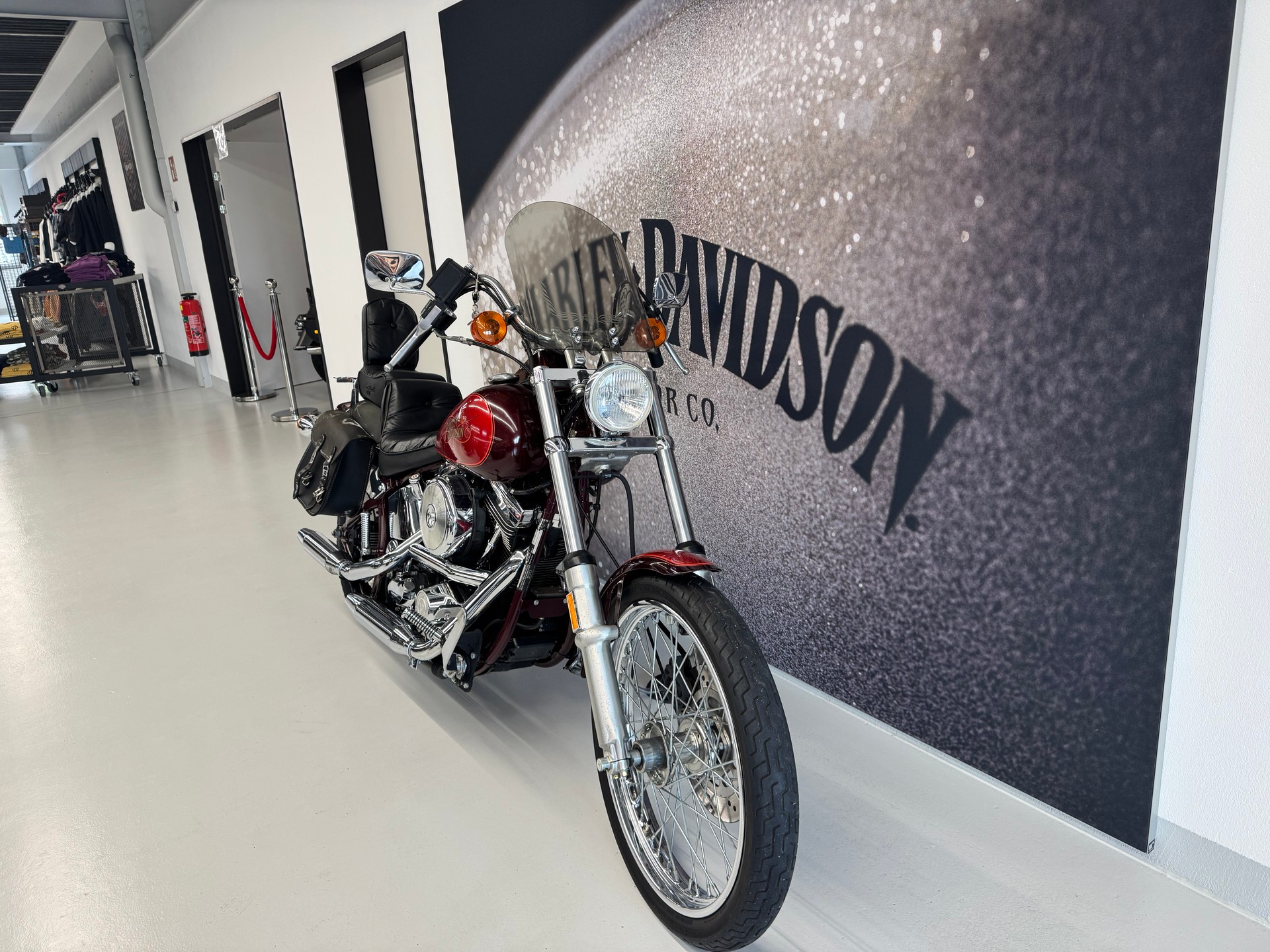 HARLEY-DAVIDSON FXST Softail  5-speed-showroom-element-1