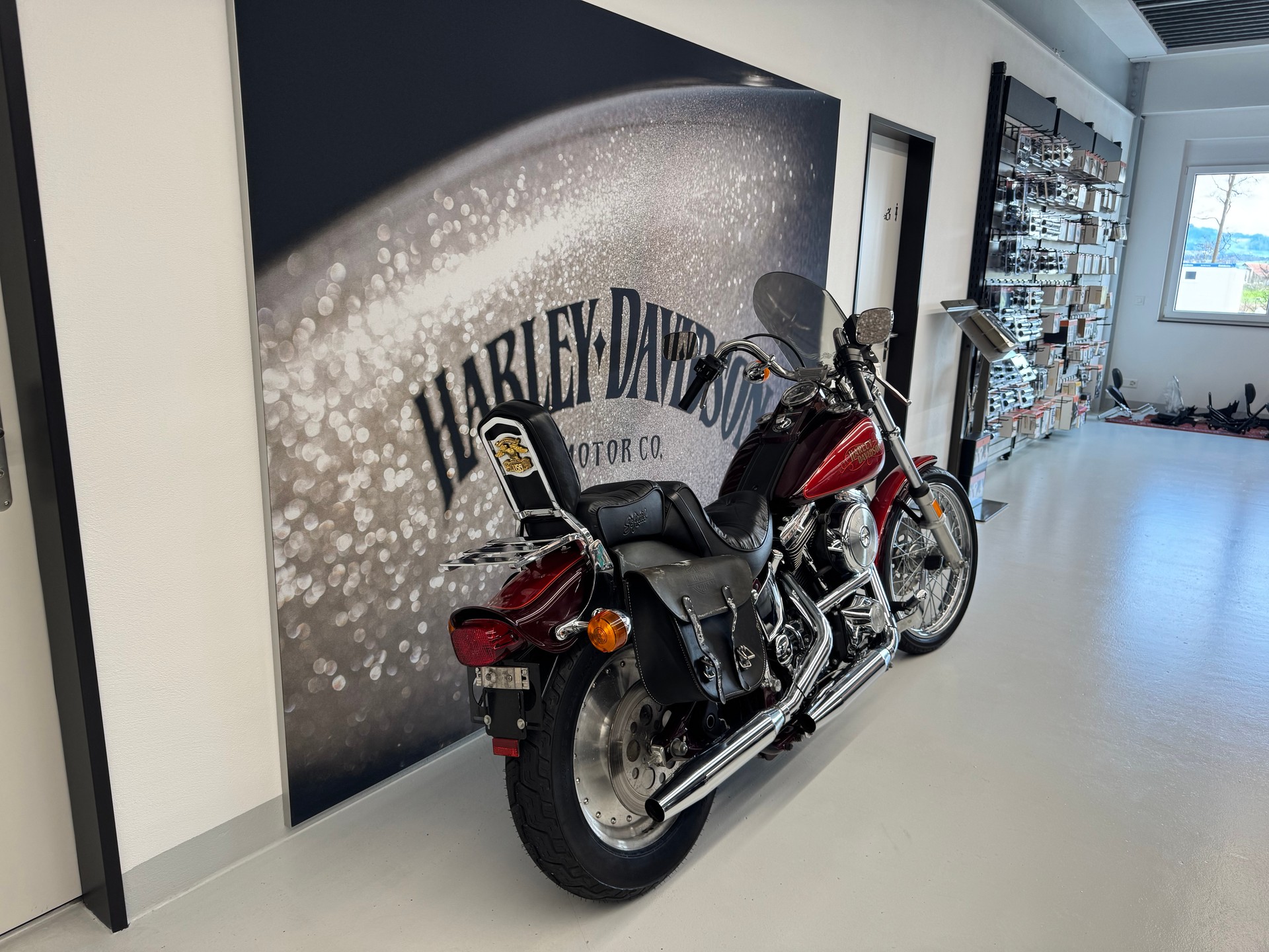HARLEY-DAVIDSON FXST Softail  5-speed-showroom-element-2