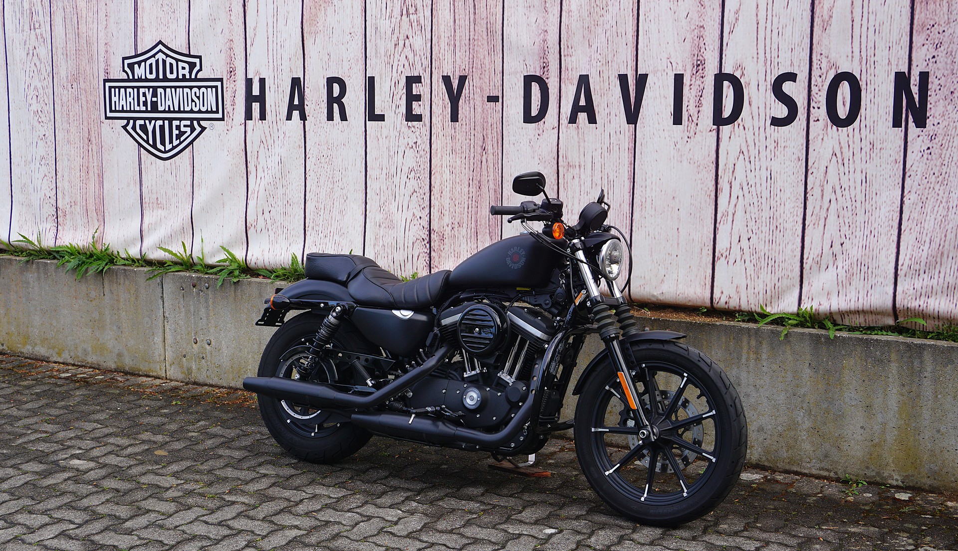 HARLEY-DAVIDSON XL 883 N Sportster Iron ABS-image-1