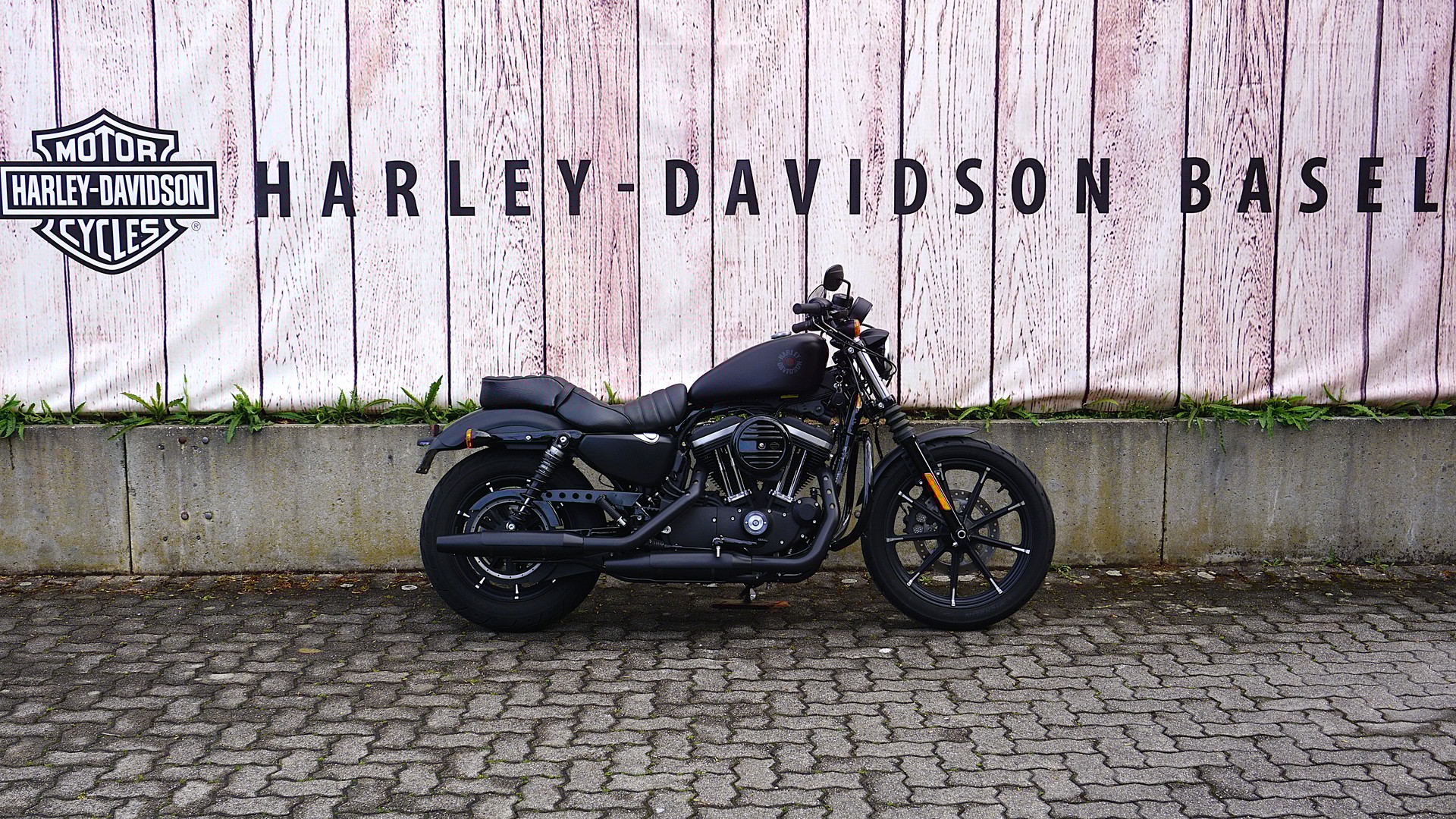 HARLEY-DAVIDSON XL 883 N Sportster Iron ABS-image-0