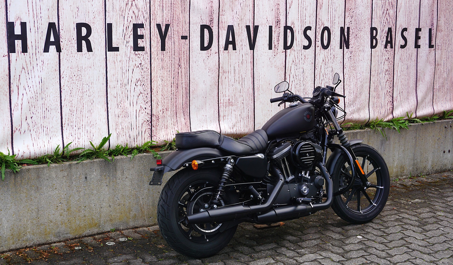 HARLEY-DAVIDSON XL 883 N Sportster Iron ABS-image-2