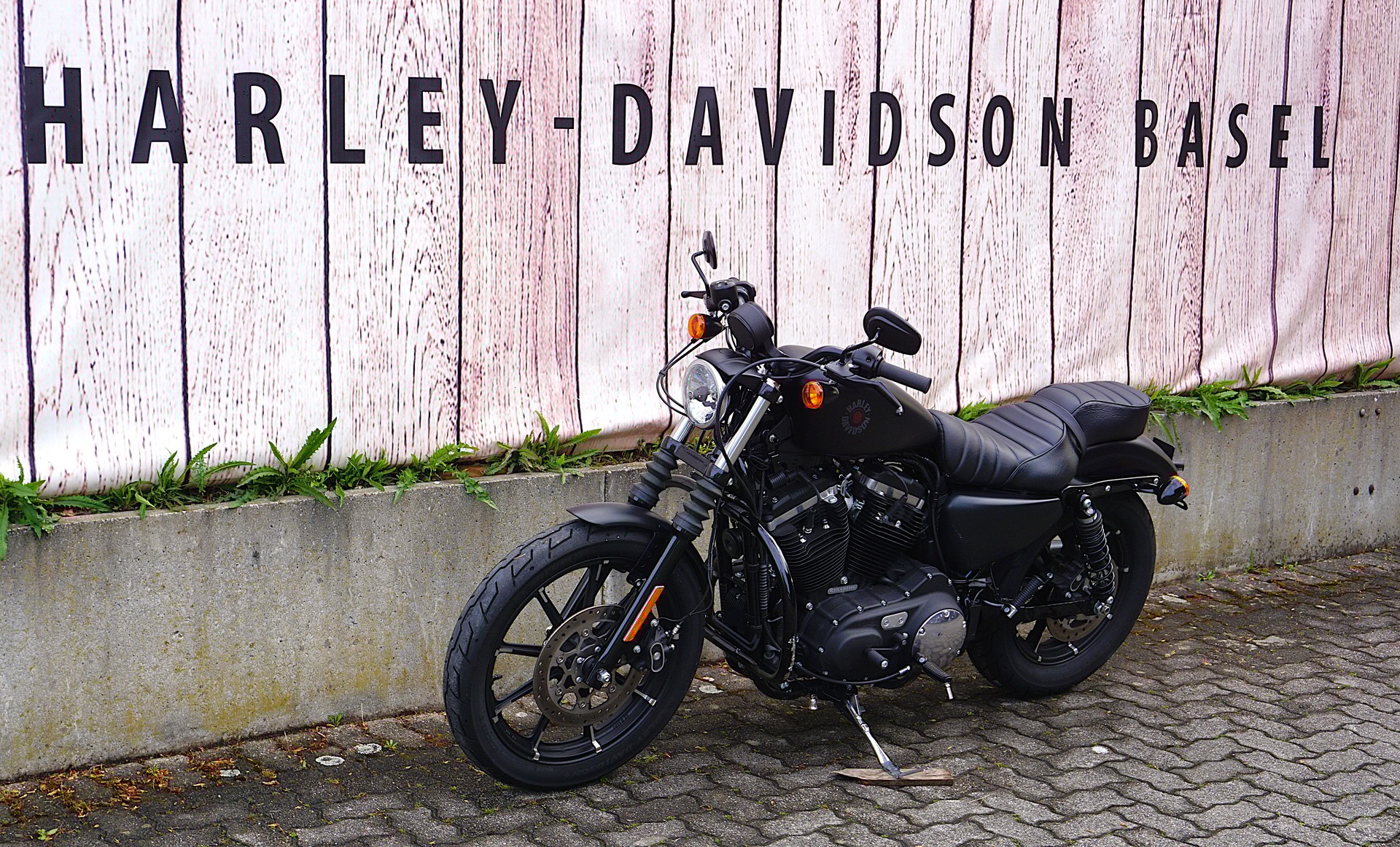 HARLEY-DAVIDSON XL 883 N Sportster Iron ABS-image-4