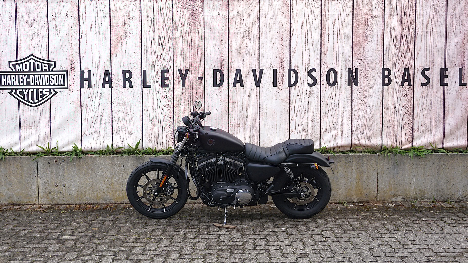 HARLEY-DAVIDSON XL 883 N Sportster Iron ABS-image-3