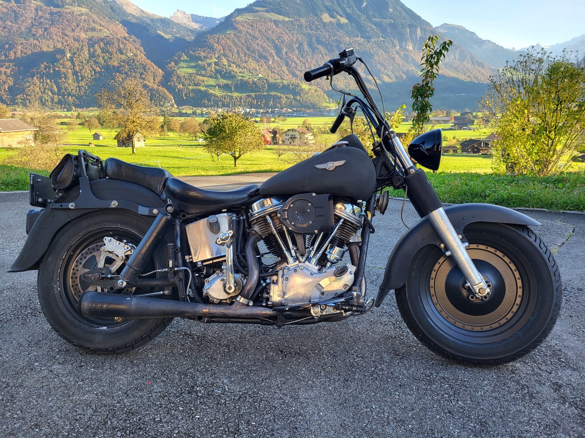HARLEY-DAVIDSON FLH