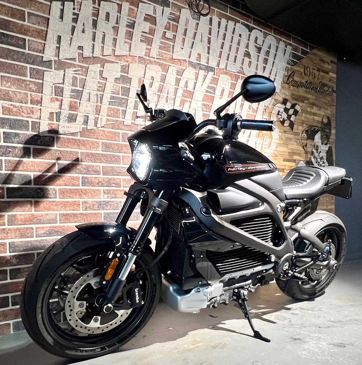 HARLEY-DAVIDSON Live Wire