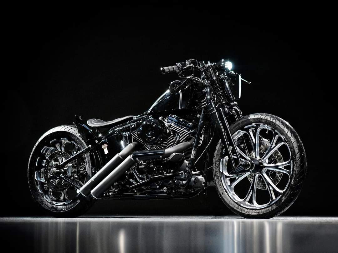HARLEY-DAVIDSON FS2 Springer Classic CUSTOM-image-0
