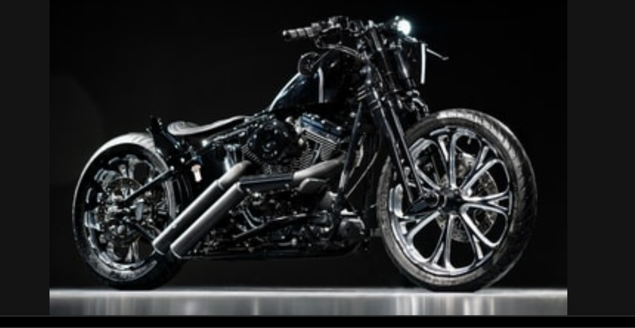 HARLEY-DAVIDSON FS2 Springer Classic CUSTOM-image-1