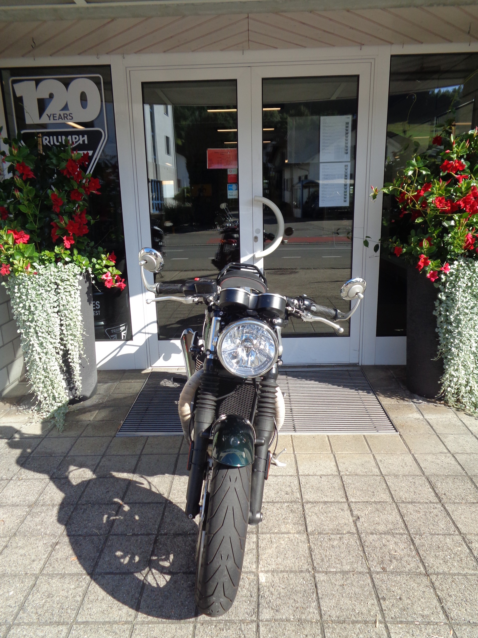 TRIUMPH Thruxton 1200 i ABS-image-5