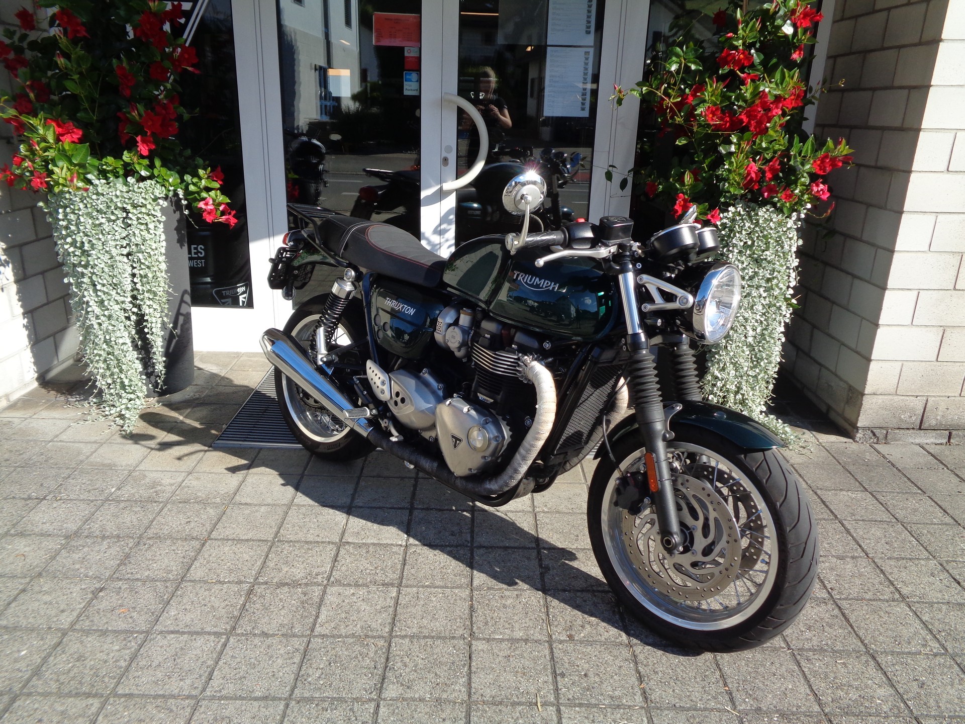 TRIUMPH Thruxton 1200 i ABS-image-3