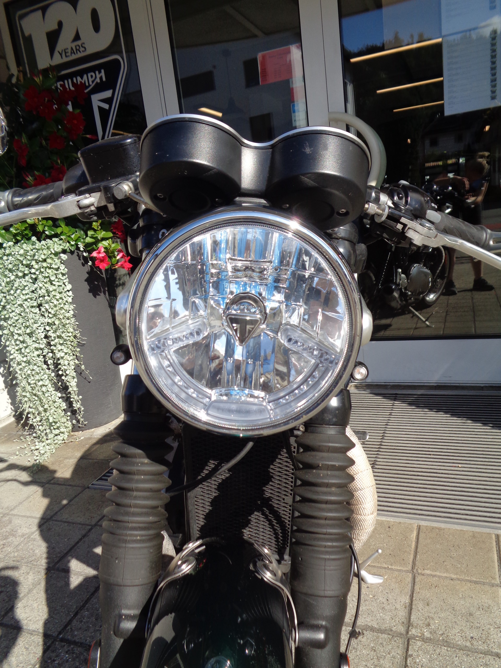 TRIUMPH Thruxton 1200 i ABS-image-8
