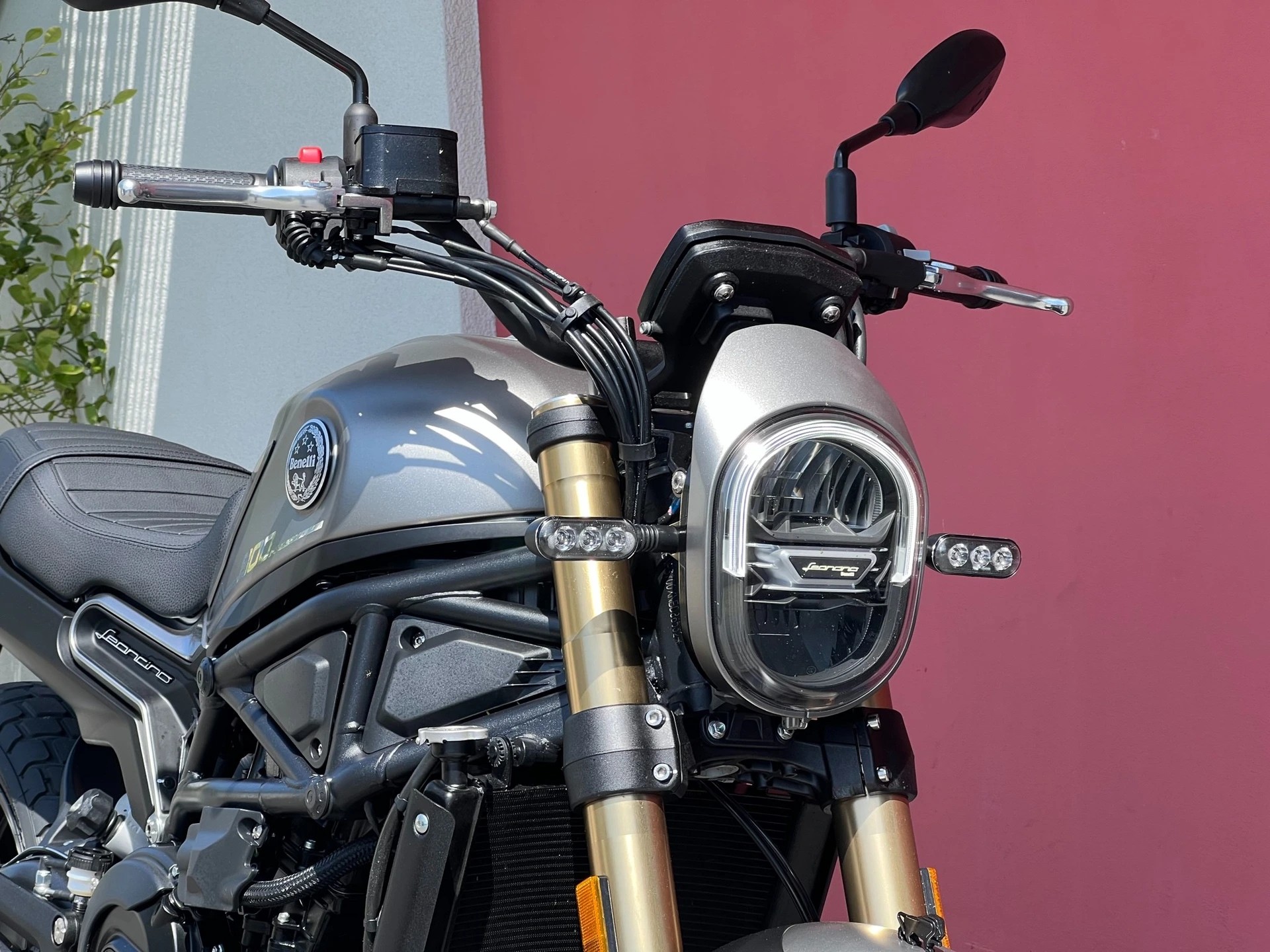 BENELLI Leoncino 800-image-8