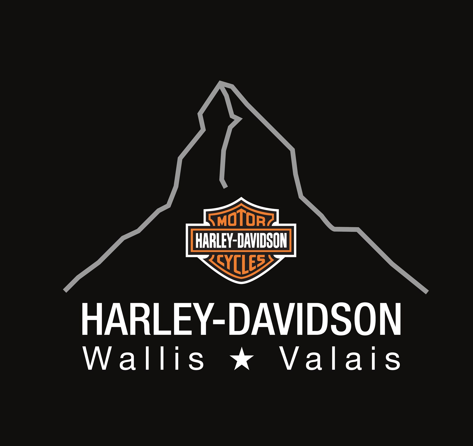 HARLEY-DAVIDSON FLH-business-8