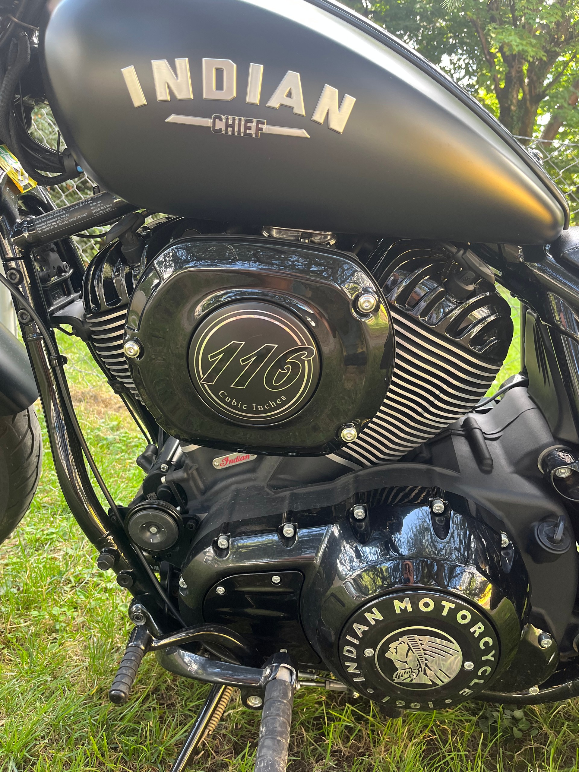 INDIAN Chief Dark Horse-image-1