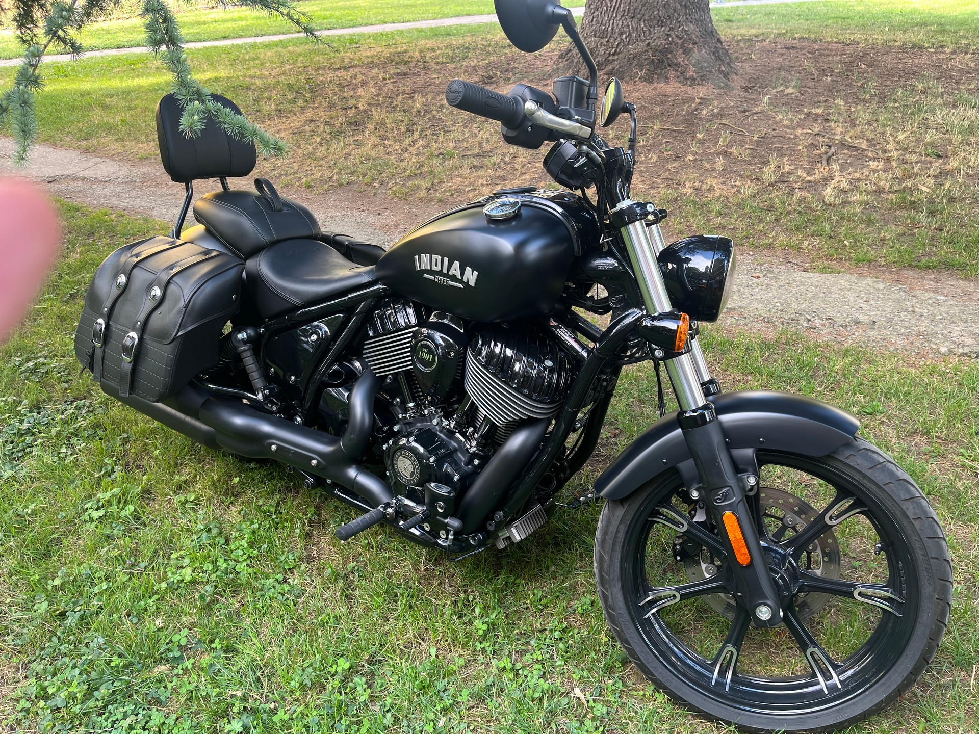 INDIAN Chief Dark Horse-image-0