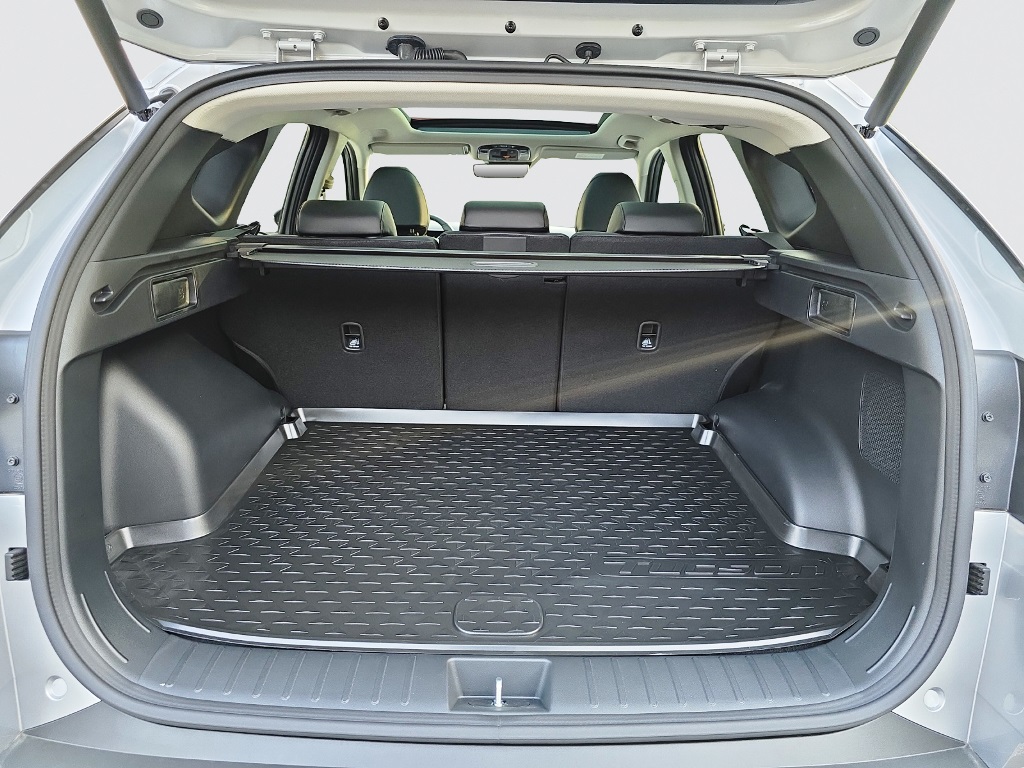 HYUNDAI Tucson 1.6 T-GDi HEV Vertex Swiss Edition 4WD-image-11