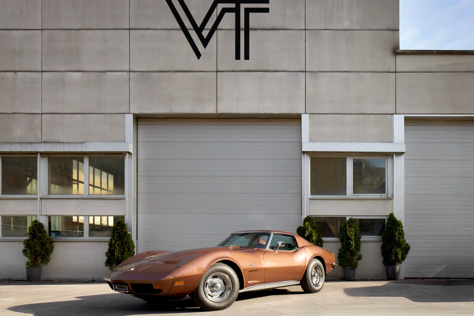 CHEVROLET Stingray-image-1
