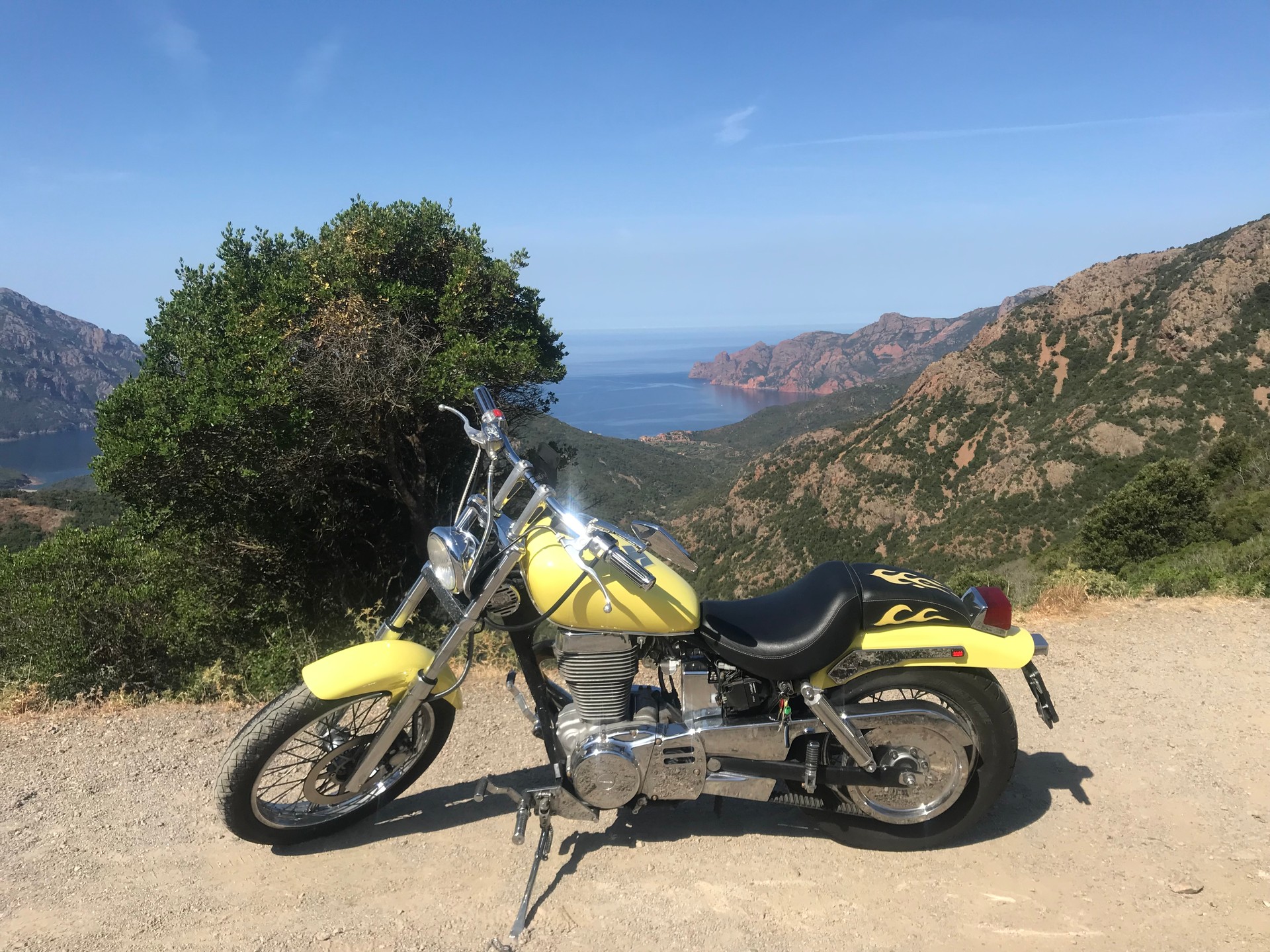 SUZUKI LS 650 P Savage-image-0