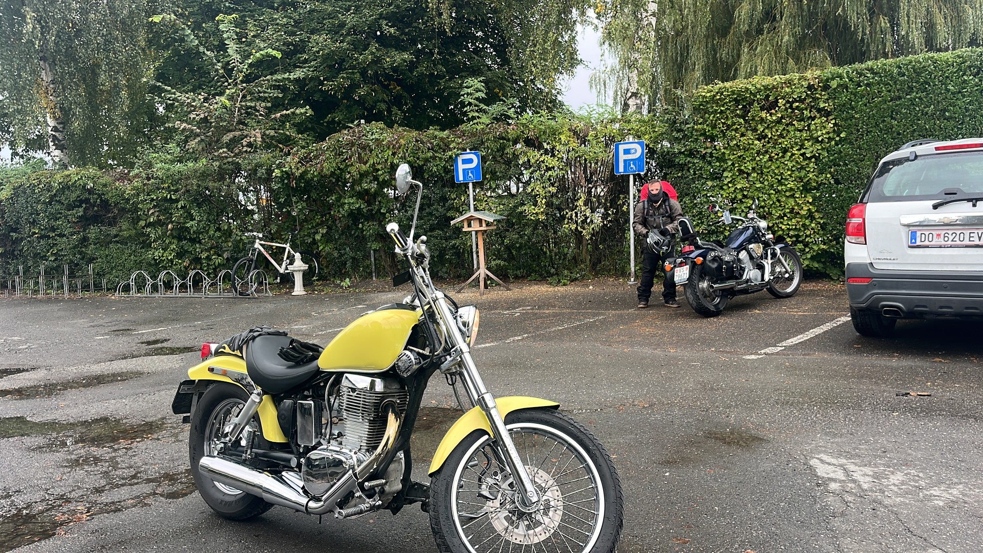 SUZUKI LS 650 P Savage-image-2