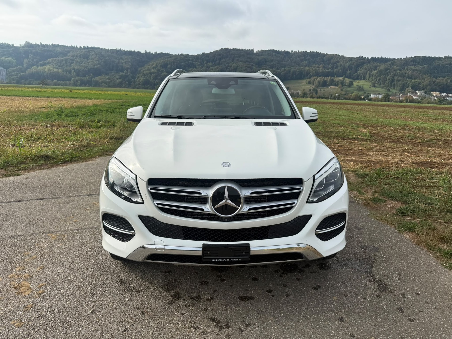 MERCEDES-BENZ GLE 250 d Executive 4Matic 9G-Tronic-image-7