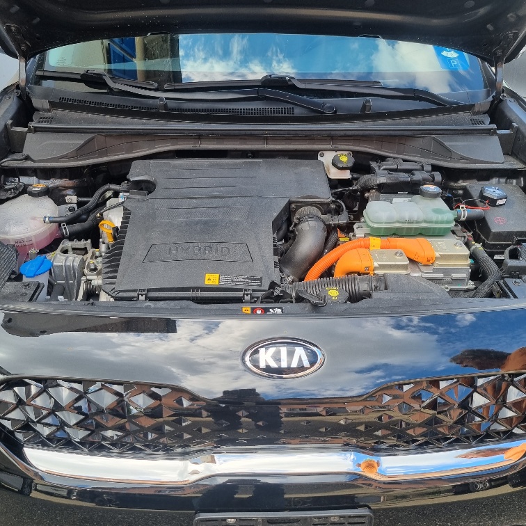 KIA Style-image-10