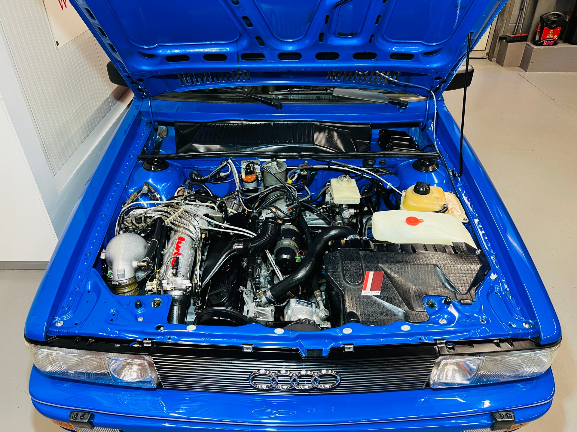 AUDI quattro Turbo „Nogaro Edition“ VETERAN-image-12