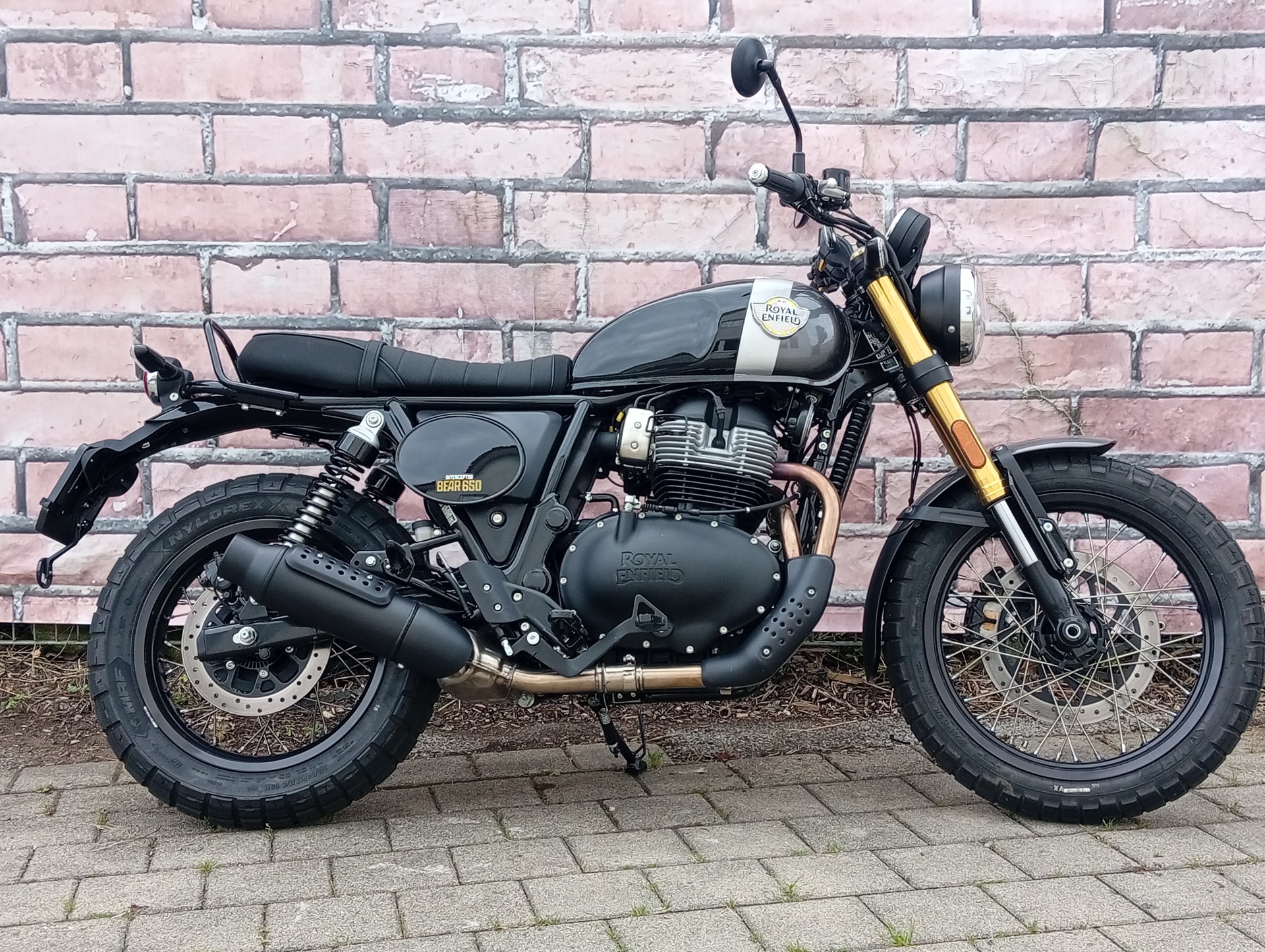 ROYAL ENFIELD Bear 650 Mid