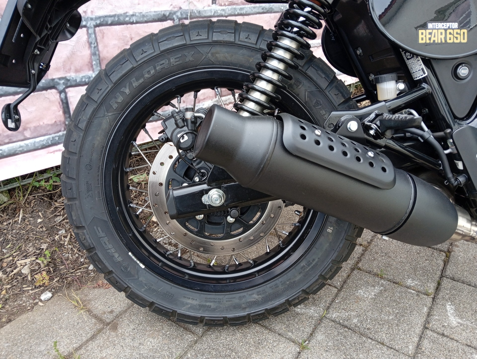 ROYAL ENFIELD Bear 650 Mid-image-9