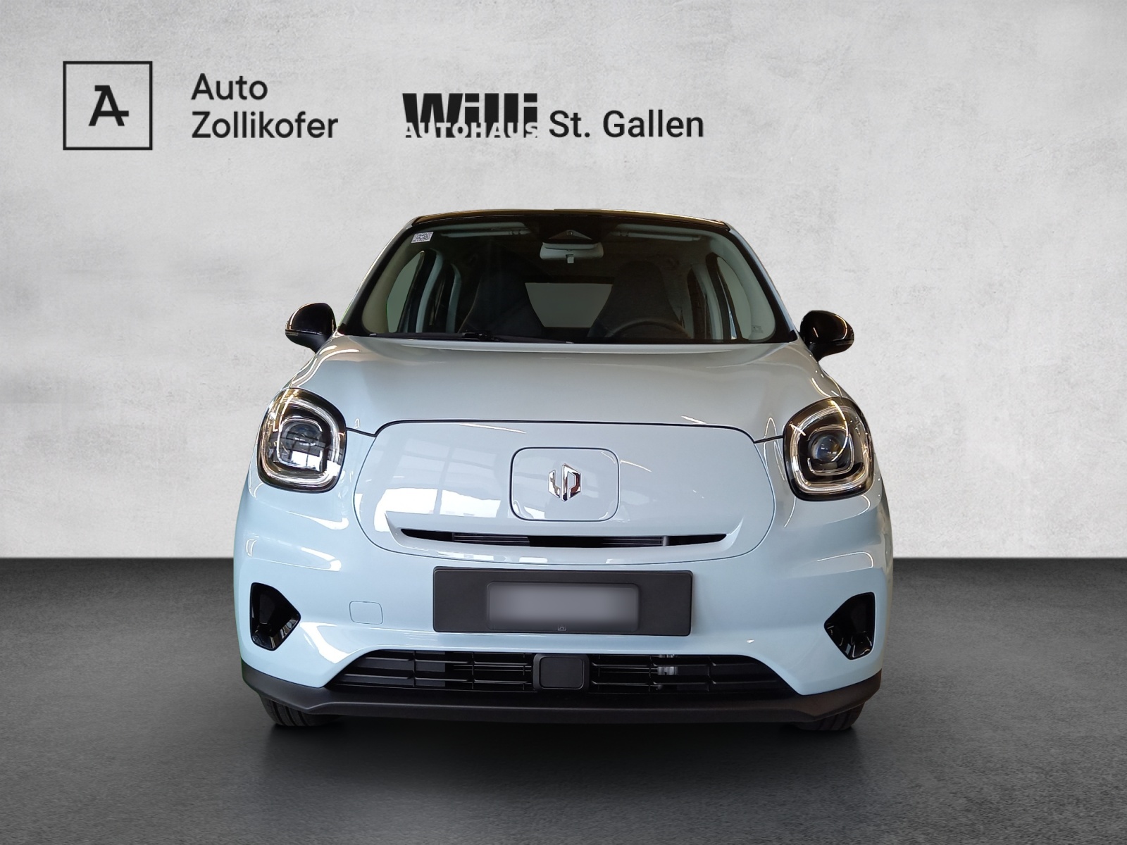 LEAPMOTOR T03 Electric 37.3kWh-showroom-element-1