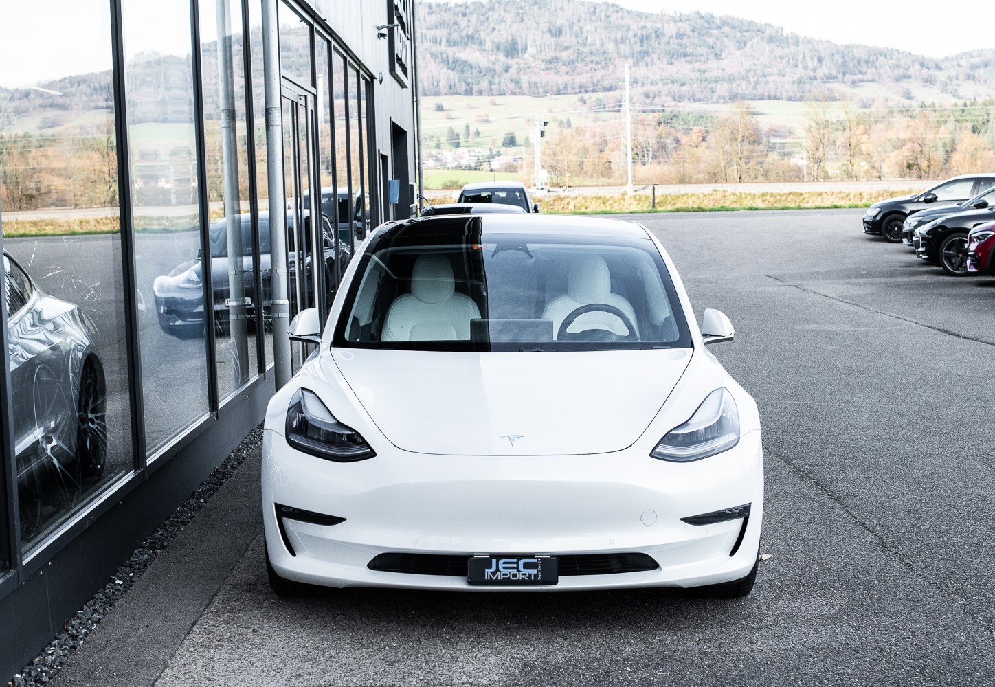 TESLA Model 3 Perform. Dual AWD-showroom-element-2