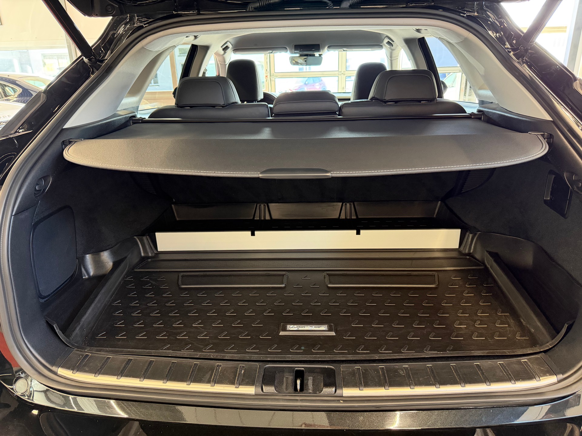 LEXUS RX 450h comfort AWD CVT-image-21