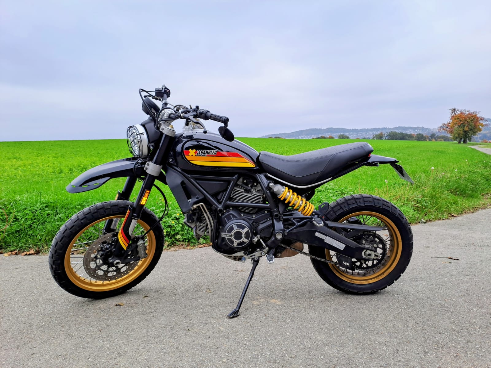 DUCATI Scrambler 800 Desert Sled
