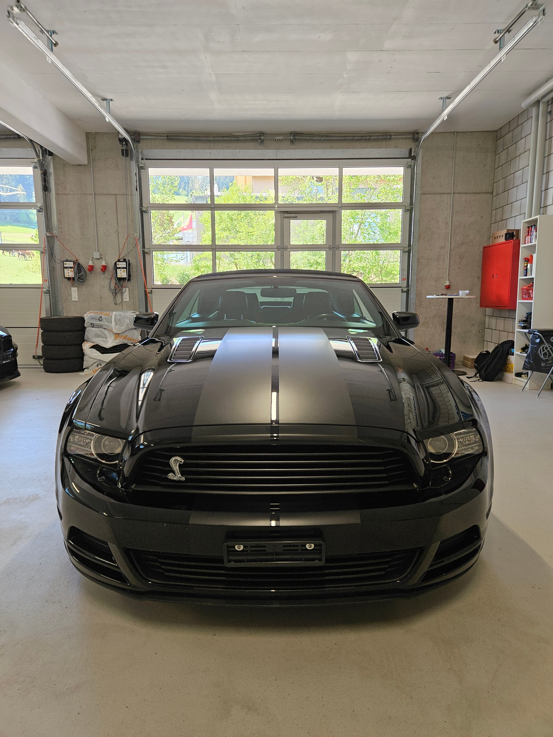 FORD Mustang GT 5.0 Manual-image-12