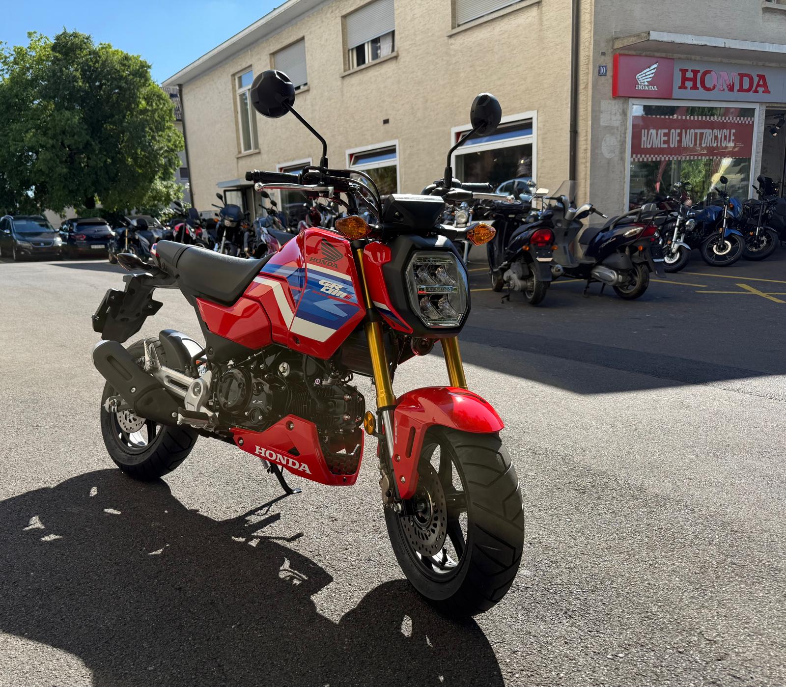 HONDA MSX 125-image-1