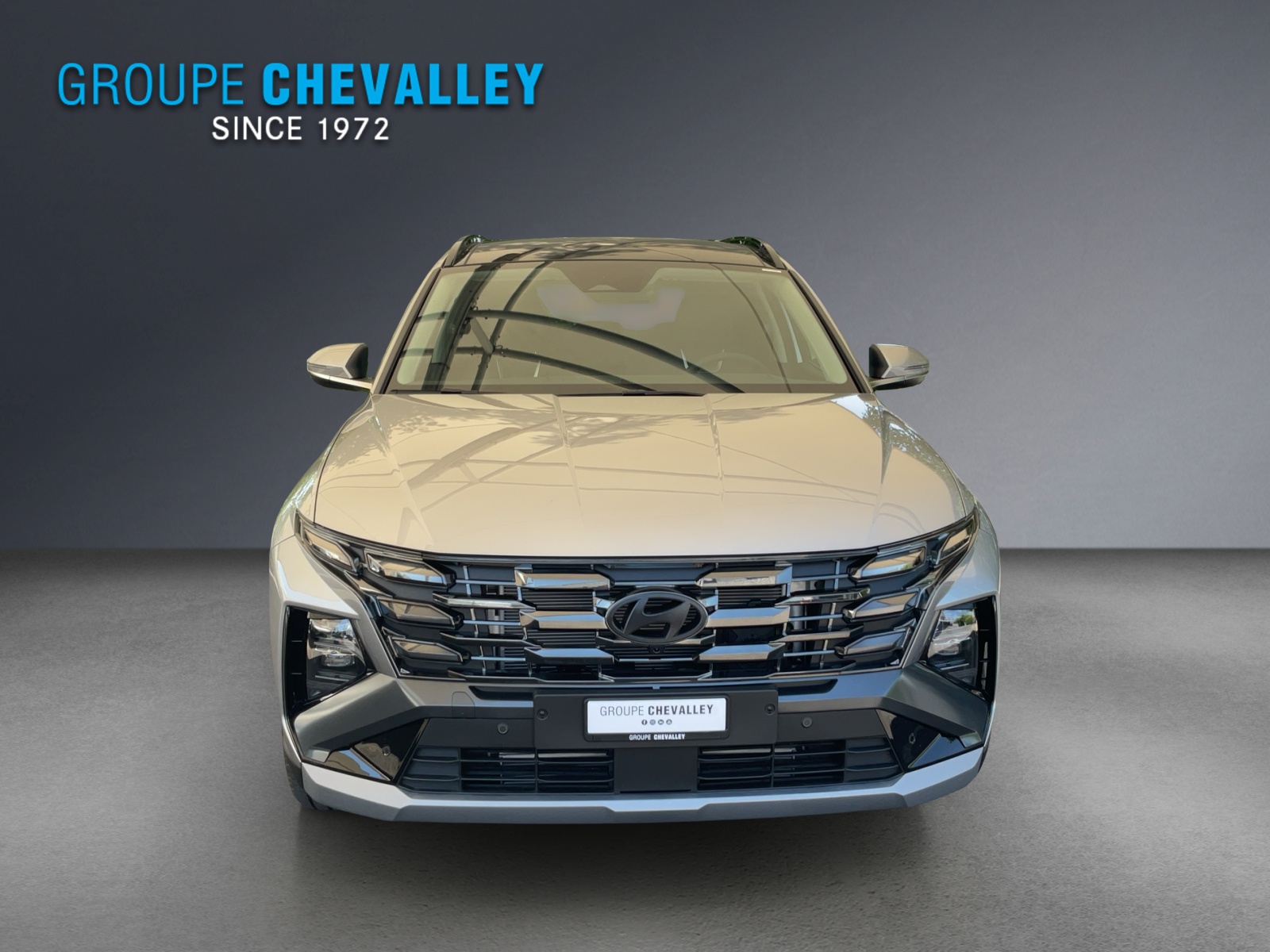 HYUNDAI Tucson 1.6 TGDI HEV Vertex 4WD Swiss Edition MY26-showroom-element-1