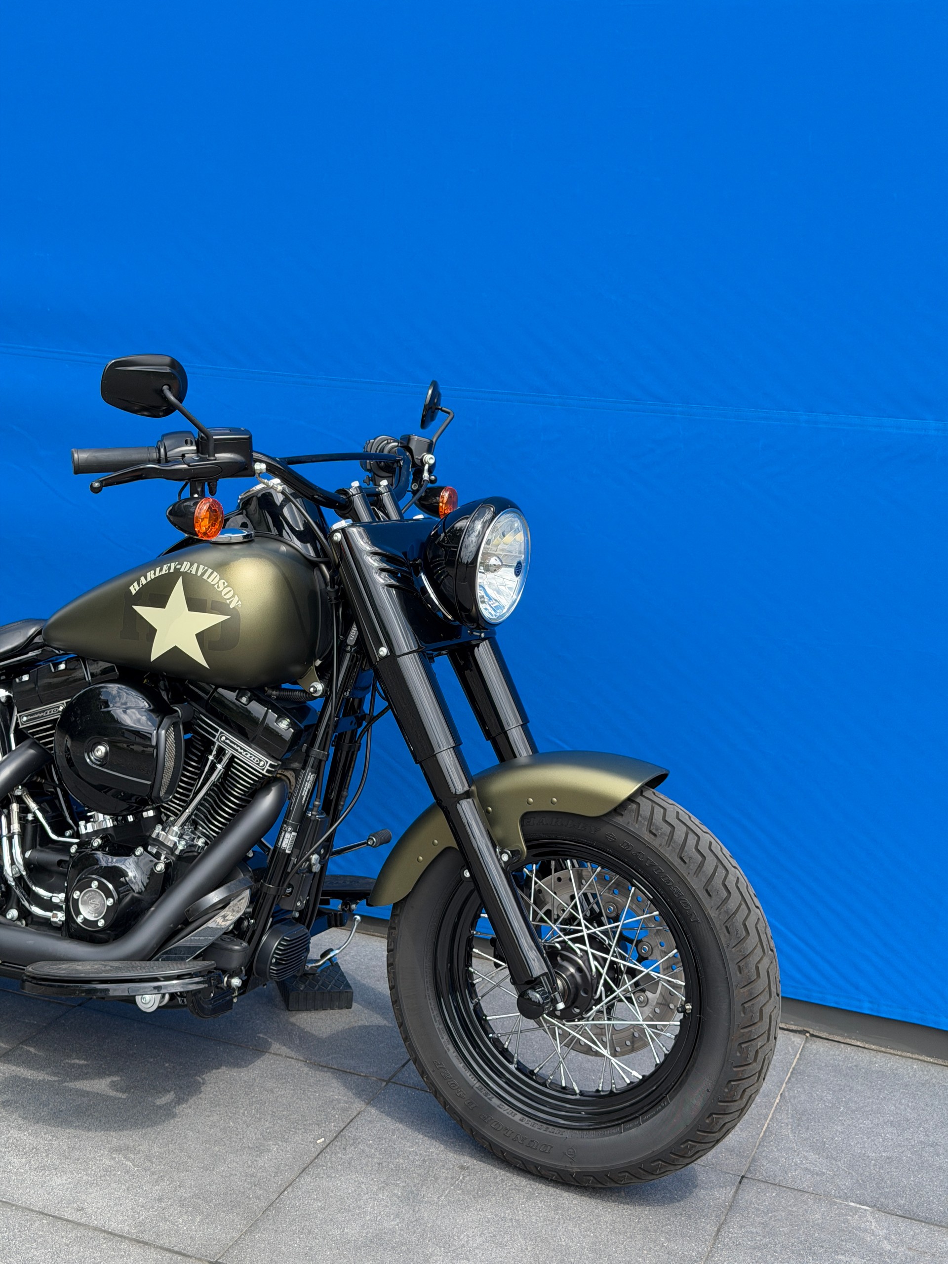 HARLEY-DAVIDSON FLSS Softail Slim S110 ABS-image-1