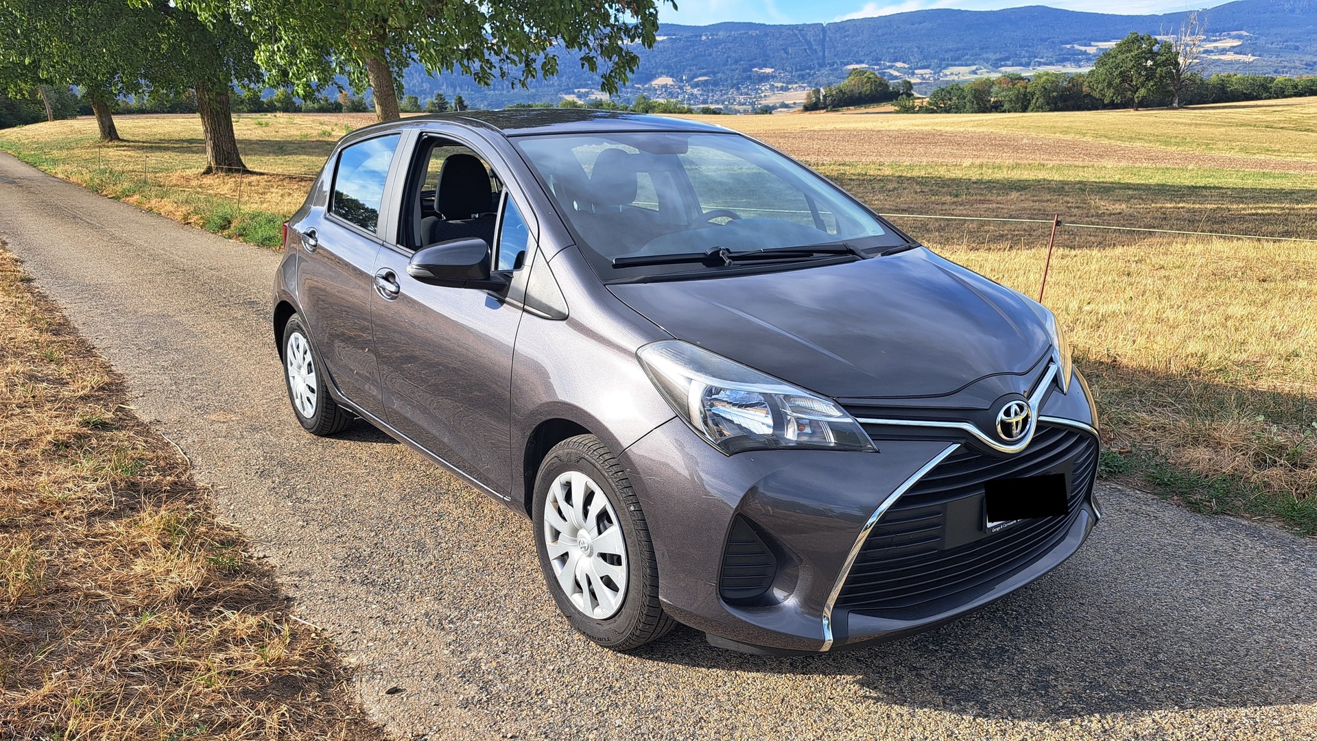 TOYOTA 1.33 VVT-i Luna