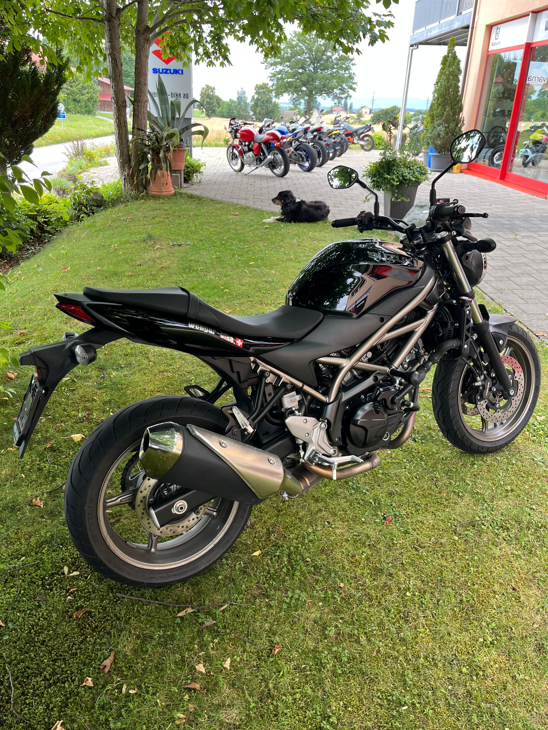 SUZUKI SV 650 (35kW)-image-0
