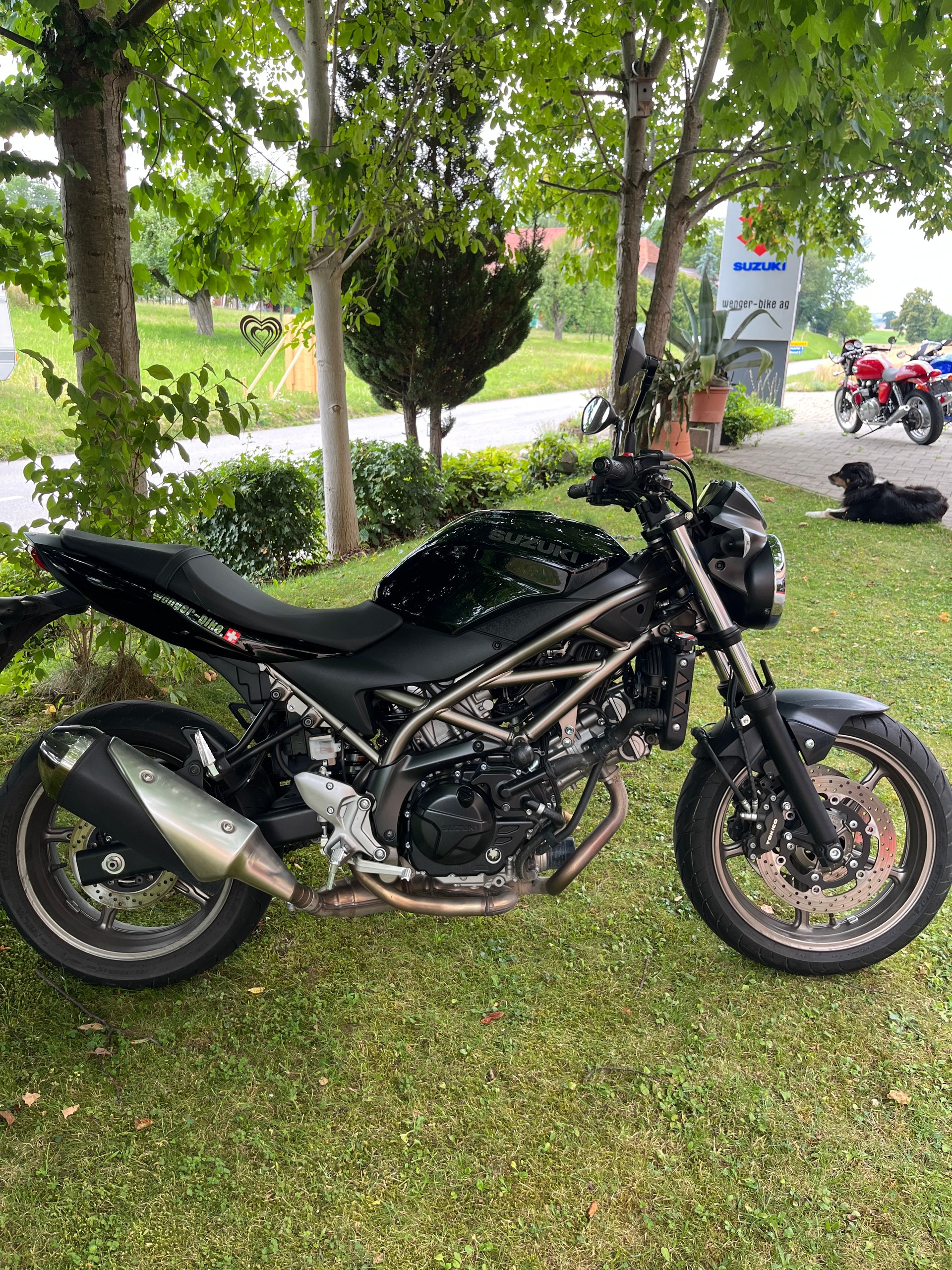 SUZUKI SV 650 (35kW)-image-5