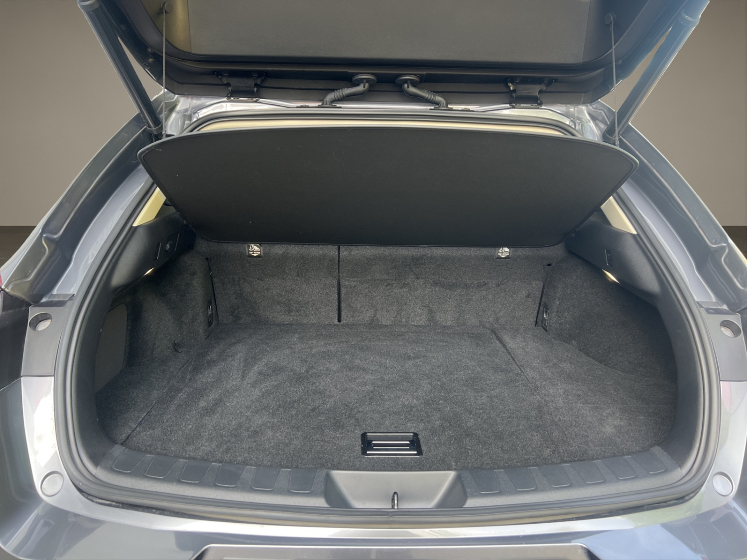 LEXUS UX 250h Excellence-image-10