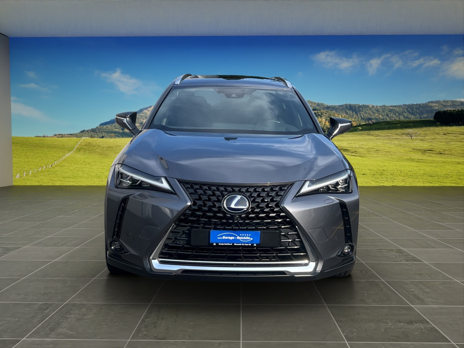 LEXUS UX 250h Excellence-image-6