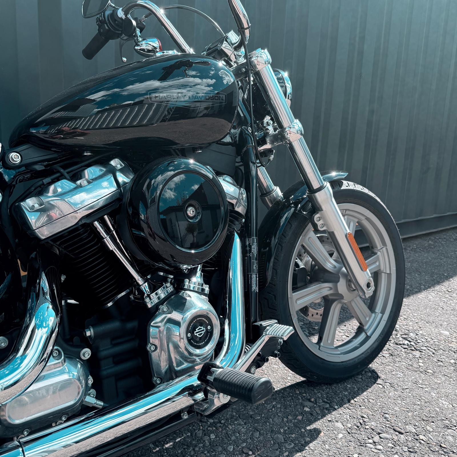 HARLEY-DAVIDSON FXST Softail Standard 107-image-6