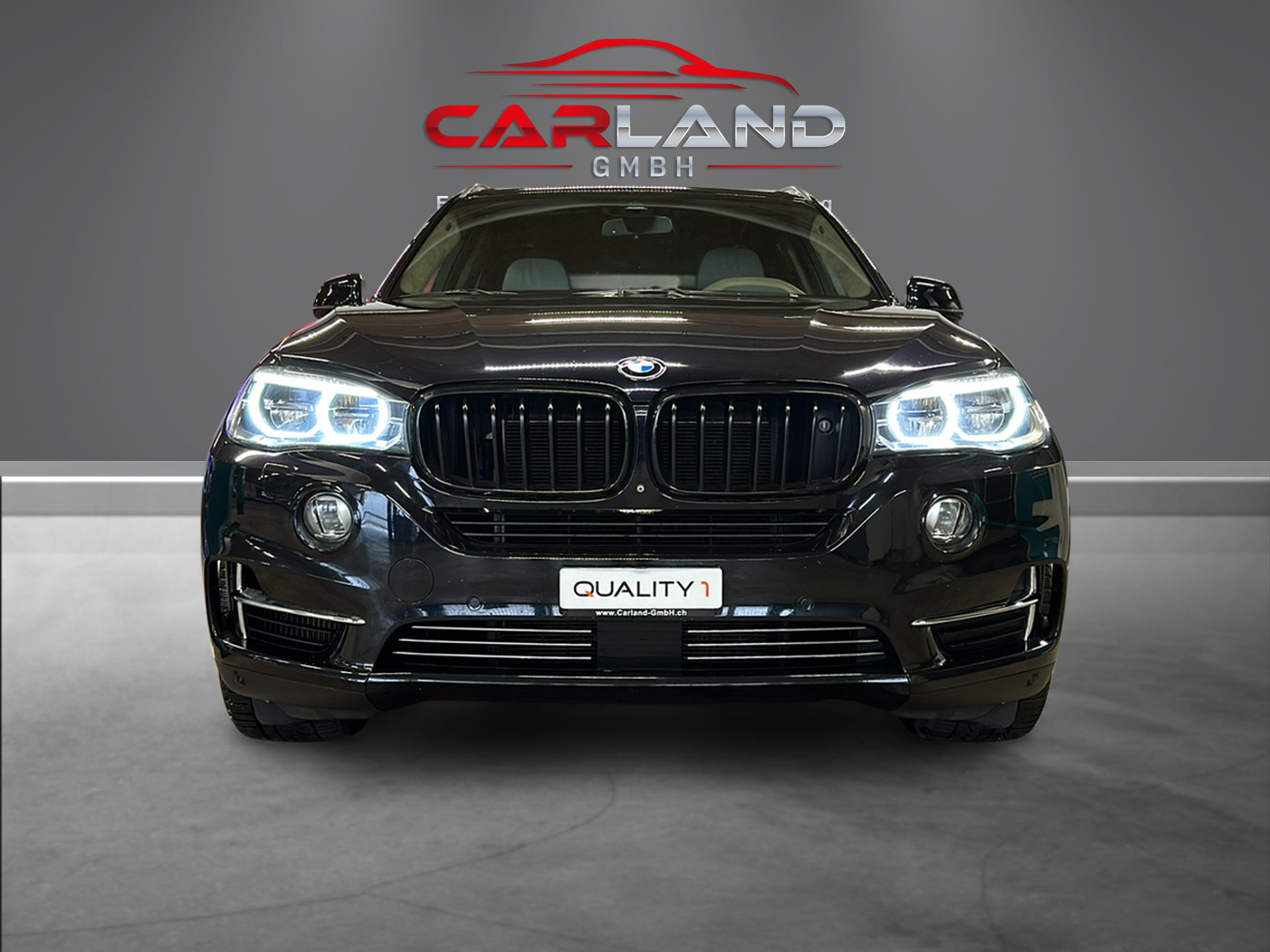 BMW X5 xDrive 50i Steptronic-showroom-element-1
