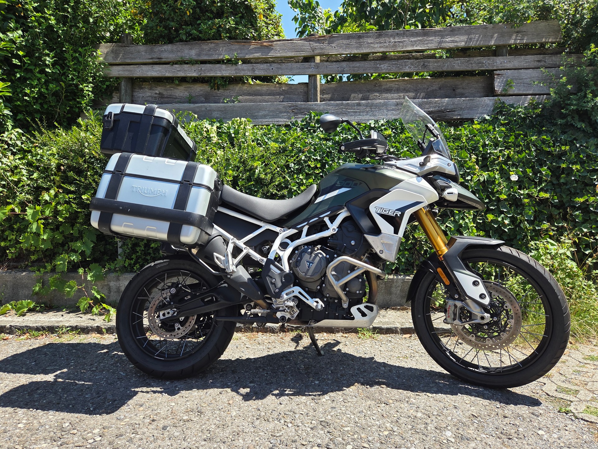 TRIUMPH Tiger 900 Rally Pro-image-2