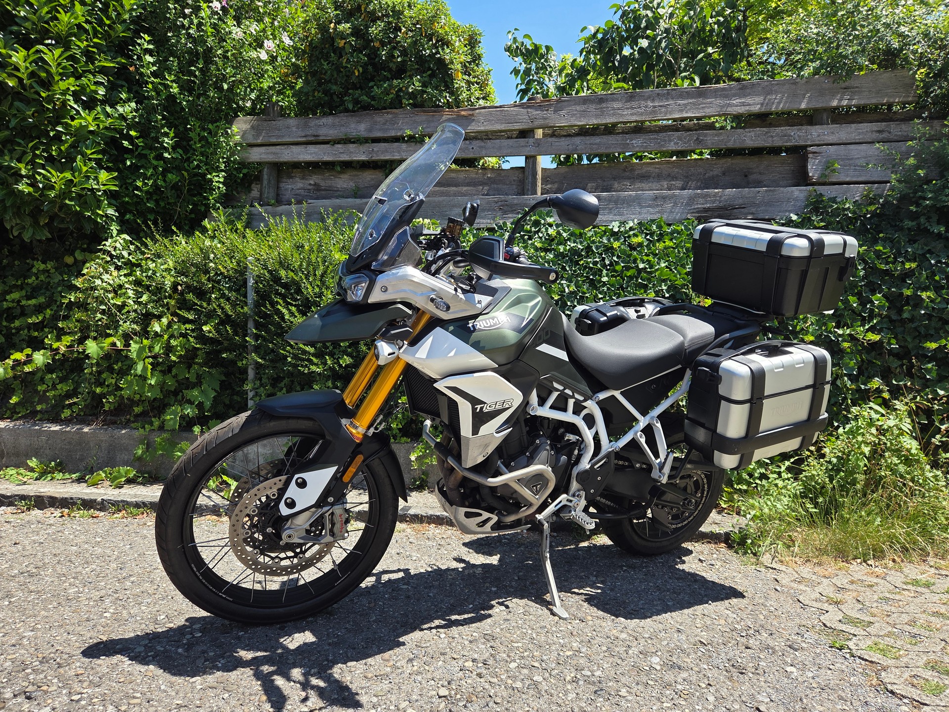 TRIUMPH Tiger 900 Rally Pro-image-0