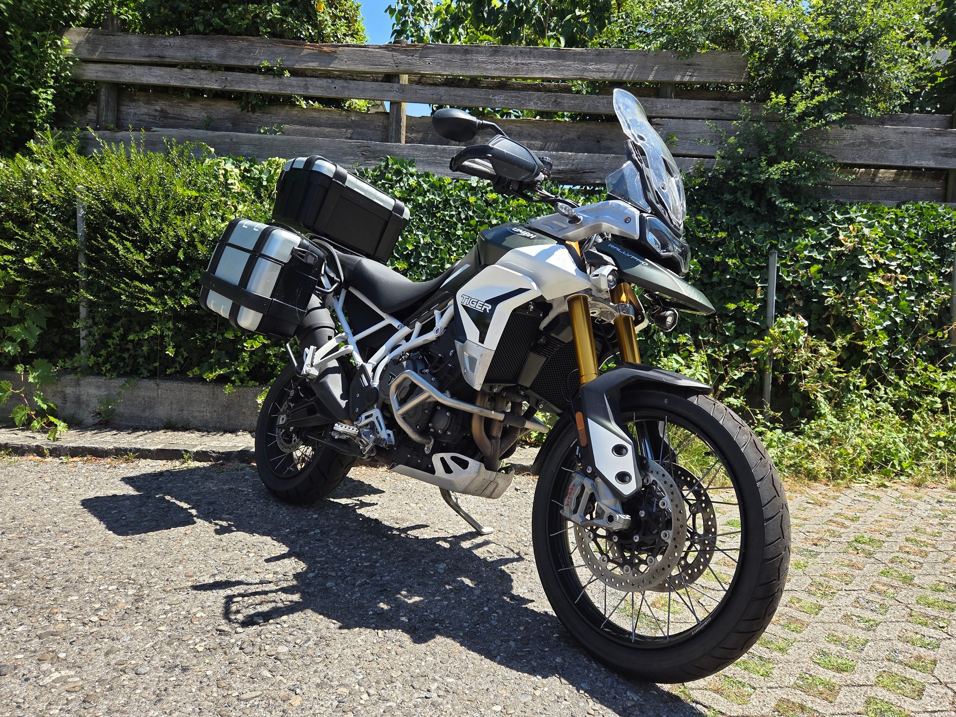 TRIUMPH Tiger 900 Rally Pro-image-1