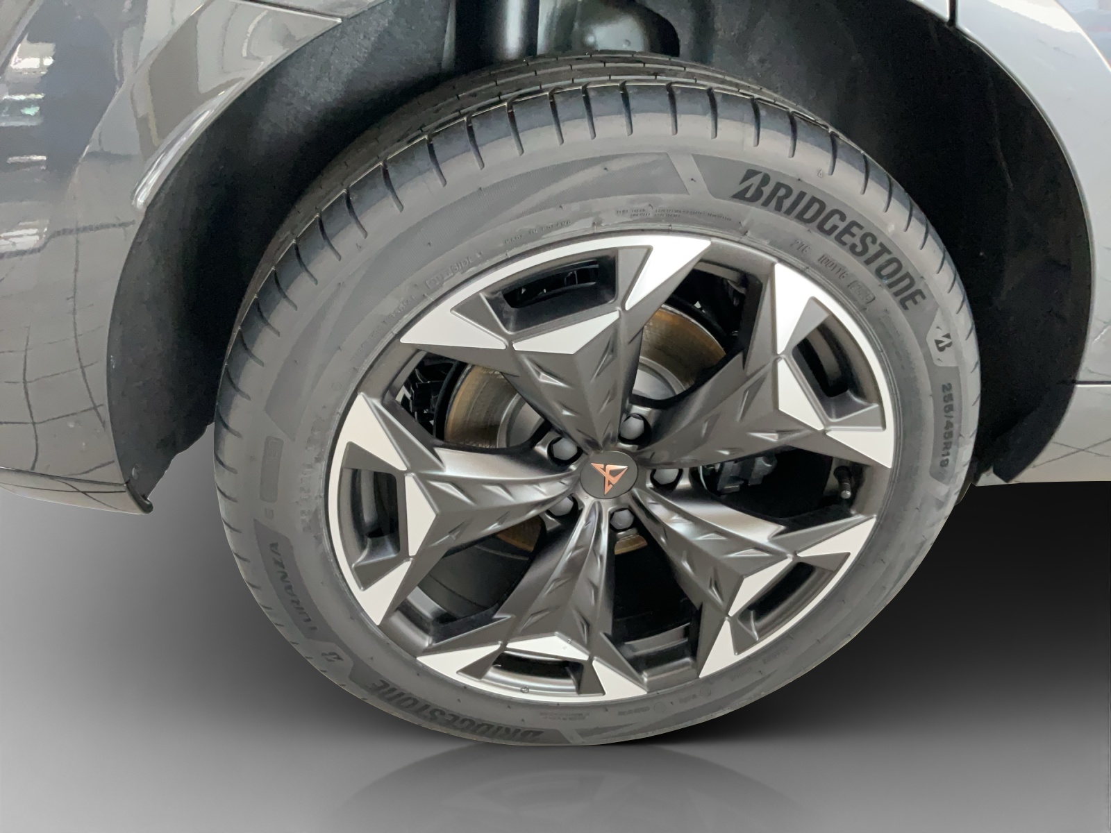 CUPRA Terramar 2.0 TSI DSG 4Drive-image-13